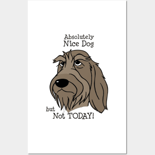 Spinone Italiano - Nice Dog Posters and Art